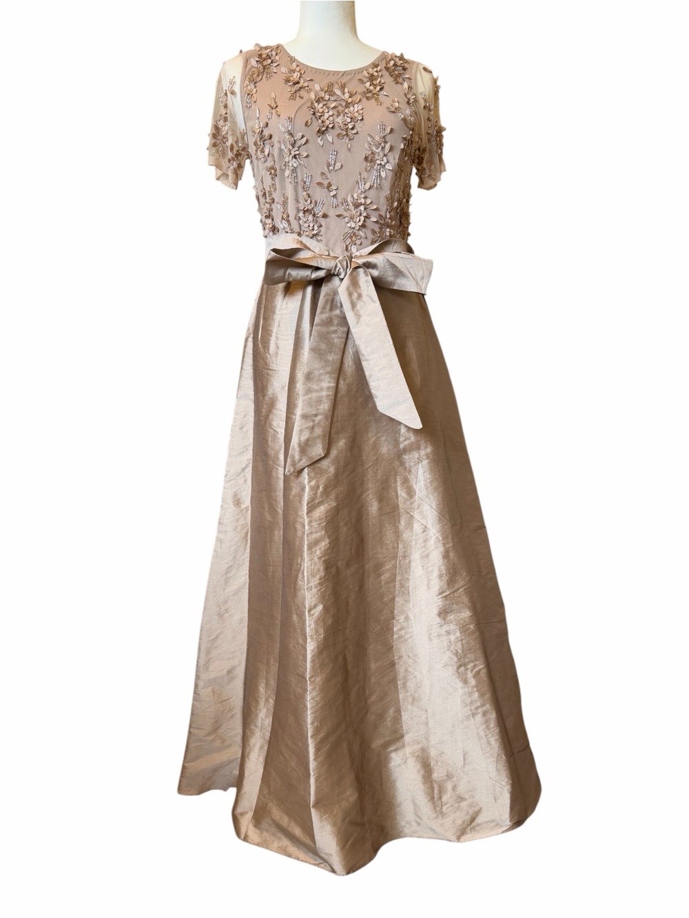 💐 Pisarro Nights Bronze Champagne Embellished Gown NWT - Picture 2 of 8